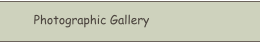 Photographic Gallery